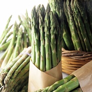 50pcs Seed Green Asparagus Garden Vegetable/芦笋种子
