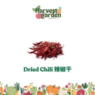 Dried Chili // Chili Kering // 辣椒干 (80g+/-)