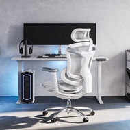 SIHOO Doro-C100 Ergonomic Office Chair
