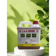 4L CH Amine 70 / CH 2,4-D Amine 70 / Rumput Para / Keladi Agas / Parit