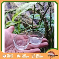 Reptile Feeding Glass Bowl Water Food Storage 爬虫玻璃食盆水盆 (Leopard Gecko,Fat tail gecko)