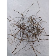 100% ORIGINAL ASLI SEMULAJADI ALAMI AKAR/BULU/PERINDU/CENUAI/MISAI ADAM/BULU MAGIC/SANJEEVI VER  (RE