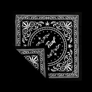 THE TURF Cotton Bandana – Streetwear Accessory – Printed – 21.5 Inches