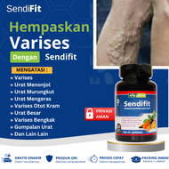 Obat Varises Urat merungkut Mengeras Gumpalan Urat Di Kaki Betis Varises Kaki Bengkak Urat Besar Men