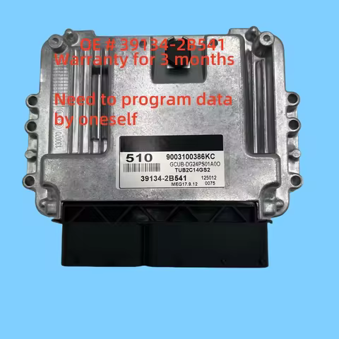 High quality 39134-2B541 391342B541 MEG 17.9.12 Car Engine Computer Board ECU For KIA