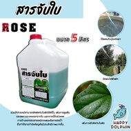 สารจับใบ ขนาด 5ลิตร Rose สารจับใบสูตรพิเศษ ยึกเกาะแน่น ยาจับใบ ติดทน ซึมซับเร็ว ของแท้ จับใบเข้มข้น