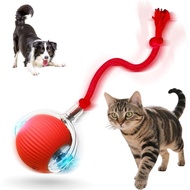 Mainan Kucing Interaktif untuk Kucing Dalaman 2025 Bola Kucing Diaktifkan Gerakan Baharu dengan 360 