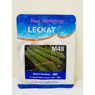 20G M48 Benih Leckat Petola Segi / Black Panther