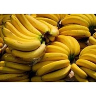 ♞BANANA SEEDLINGS LAKATAN VARIETY