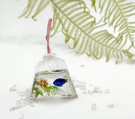 海洋系列 - 小丑魚與他的好朋友