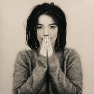 [ ออก E-Tax ได้ ] แผ่นเสียง Bjork Debut ใหม่ ซีล Vinyl LP