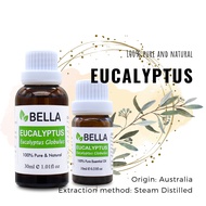 Eucalyptus Essential Oil Aromatherapy Pure and Diffuser Humidifier Aroma Incense Burner