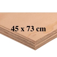 45 x 73 cm Premium Marine Plywood