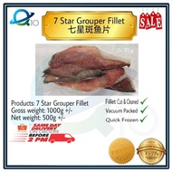 7 Star Grouper Fillet, 500G+/-