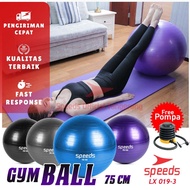 Speeds Gym Ball fitness 75cm/Gym Ball/yoga Ball Sports Equipment (Pump Bonus) Gymball 019-3