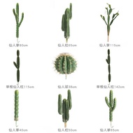 Fake Cactus Pillar Simulation Sand Cactus Plant Cactus Plant Cactus Plant Window Landscaping Simulat