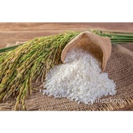 Seeds GROW YOUR OWN Thai White Jasmine Rice Plant Fresh SEEDS Organic Vegetable Grain Spinach VFND