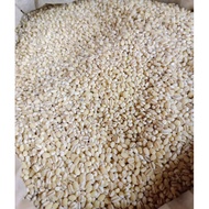 BARLI / BIJI BARLI / BERAS BARLI (500GRAM) 🔥