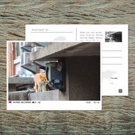 No.93臺灣明信片 / 臺中興大一村貓咪 / 任選買10送1