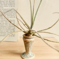 迷你桌上琉璃擴香小花瓶