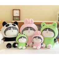 The king's cat teddy bear cosplays frog, rabbit, bear - glaring cat