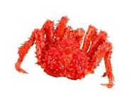 【冷凍蝦蟹類】帝王蟹/約2.8kg以上/隻