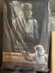 Hot Toys Star Wars Transport Trooper