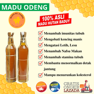 Madu Hutan Murni MADU ODENG