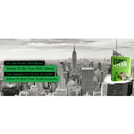 Forex Steam Light Risk MT4 V11 UNLIMITED