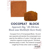 Cocopeat Block  3.5-4.9kg  PH: 5.8-7 Low EC Compress Cocopeat 30x30x10cm