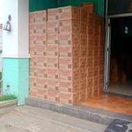 pupuk pillow ef slow release Kemasan 1 Dus (120 Sashet)