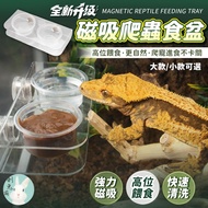 ((Mid-Year Celebration Lowest Price) Next Day Delivery Reptile Reptile Food Basin Reptile Water Basi