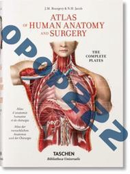 Atlas of Human Anatomy and Surgery Bourgery 人體解剖圖譜