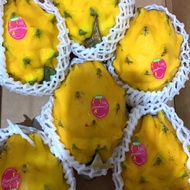 buah naga kuning fresh 1 kg