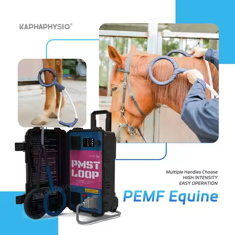 PEMF Magnetic Therapy Device PMST LOOP For Horse Animal Care China PEMF Loop PEMF Mat