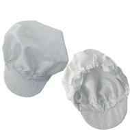 Anti-Static Grid Big Worker Hat Dust-Free Hat Electronic Factory Food Factory Cap Clean Sterile Cap 
