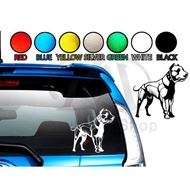 Animal Car.  Sticker