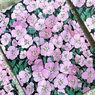 白色月見草花包裝紙 A4 設計紙 (dami) 禮物