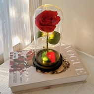 樺坊/永生花玻璃盅/美女與野獸玫瑰花盅/玻璃罩