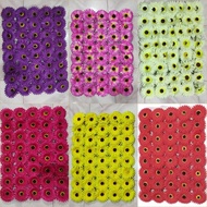 Frame 40 x 60 Gerbera Backdrop Decoration