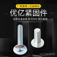 Large Screw Umbrella Head Half Round Head Large Flat Head Machine Screw Screw Phillips Head Screw La