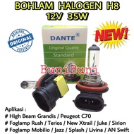 H8 12V 35W Halogen Headlight Bulb for Brio Mobilio BRV HRV Rush Fog Lamps