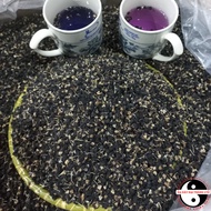 Hắc kỷ tử kỳ tử đen sấy khô quả to size đại (thượng hạng) Hắc kỉ tử kì tử đen trà kỷ tử hạt kỷ tử hữ