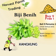 biji benih sayur sayuran pelbagai bunga vegetable seed bibit anak pokok buah 蔬菜種子花种子 Baja daun sup f