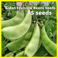 Green Eyebrow Beans Seeds - 青眉豆种子 15 Seeds Heirloom Hyacinth Bataw Bitsuwelas Bean Vegetable Seeds