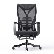 tt Racing Chair Computer Chairs For Home Gaming Chair Study Chair Racing Chair Longteng Series S8 Er