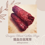 龍血白鼠尾草 🐉美國空運抵港🇺🇲
