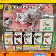 全新Bandai生物大圖鑑守宮扭蛋 (紅圈)