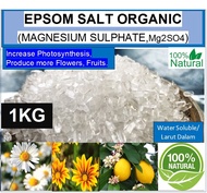 [REPACK 1KG]EPSOM SALT(MAGNESIUM SULFATE) BAJA MAGNESIUM Mg2SO4 Water Soluble Fertilizer Baja Organik
