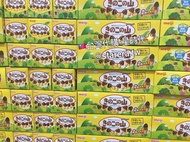 台灣🇹🇼代購COSTCO-MEIJI明治香菇造型巧克力餅乾(74公克*6包)